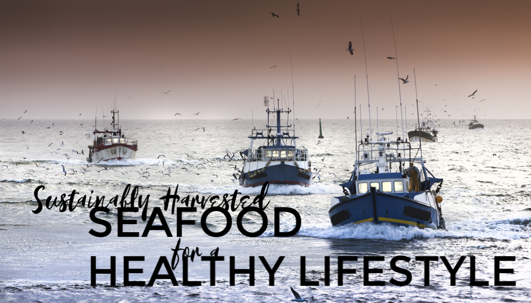 Sustainably Harvested Seafood for a Healthy Lifestyle by King Tide Seafood Provisions