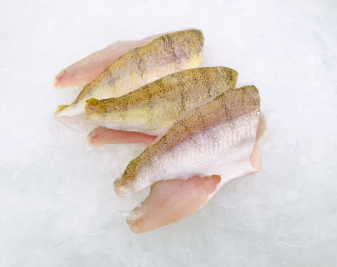 Yellow Lake Perch on a bed of ice, sold by King Tide Seafood Provisions
